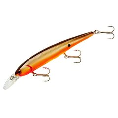 Lant Pradco Walleye Shallow 95 hind ja info | Landid, voblerid | kaup24.ee