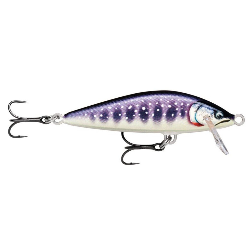 Lant Rapala CountDown Elite GDIW hind ja info | Landid, voblerid | kaup24.ee