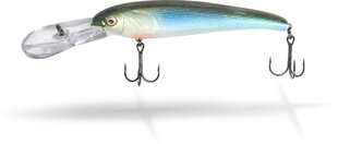 Lant Quantum Stretch Baitfish hind ja info | Landid, voblerid | kaup24.ee