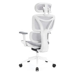 Levano system ergonoomiline tool, valge hind ja info | Kontoritoolid | kaup24.ee