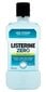 Suuloputusvesi Listerine Zero 500 ml цена и информация | Suuhügieen | kaup24.ee