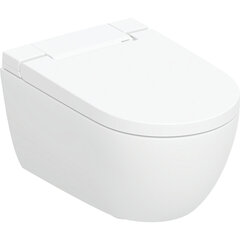 Geberit AquaClean Alba loputusfunktsiooniga tualettpott, valge 146.350.01.1 hind ja info | WС-potid | kaup24.ee