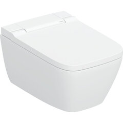 Geberit AquaClean Sela WC pott loputusfunktsiooniga, seinale riputatav WC pott, valge 146.250.01.1 цена и информация | Унитазы | kaup24.ee