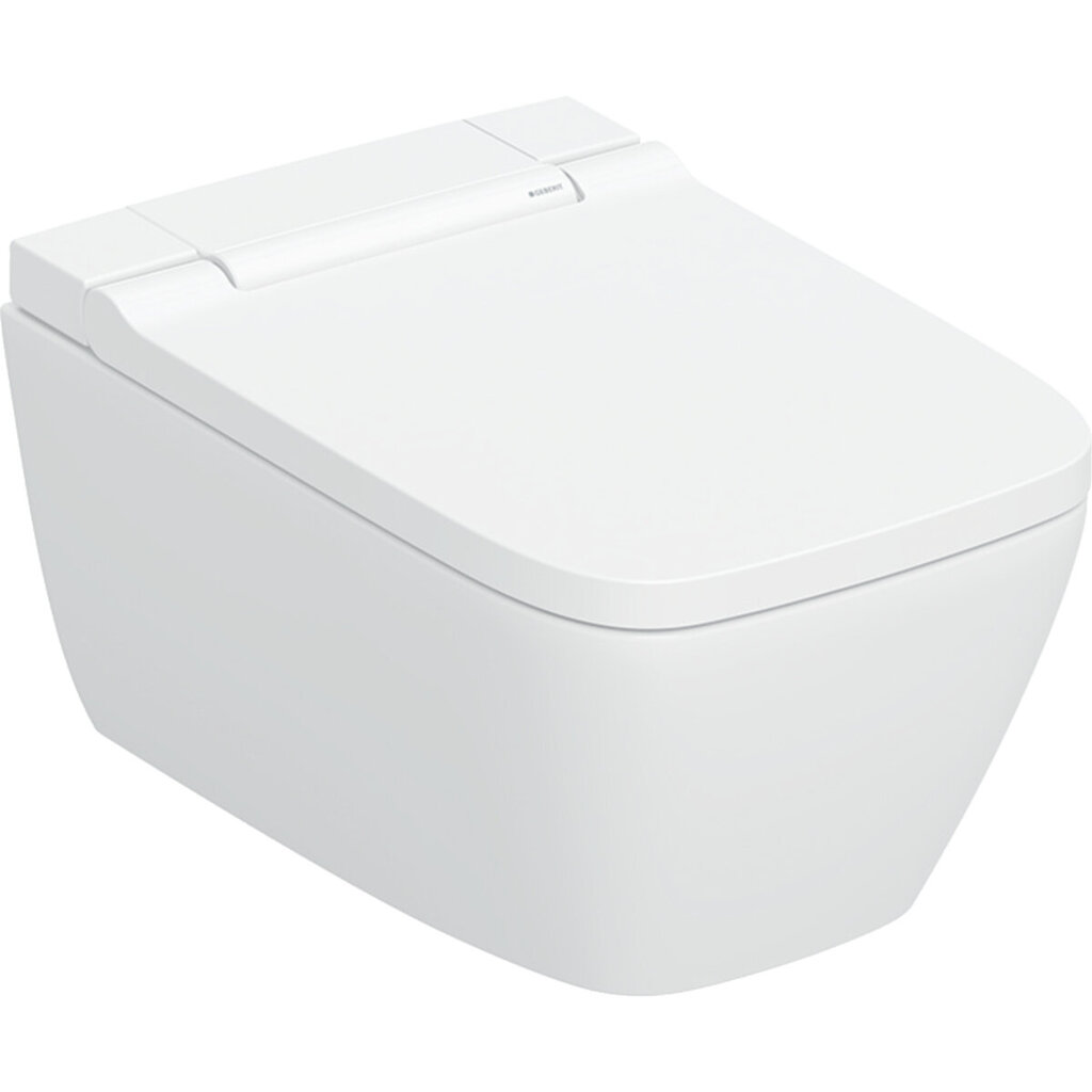 Geberit AquaClean Sela WC pott loputusfunktsiooniga, seinale riputatav WC pott, valge 146.250.01.1 цена и информация | WС-potid | kaup24.ee