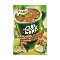 Густой лесной грибной суп с гренками Knorr, 15 г цена и информация | Супы, бульоны | kaup24.ee
