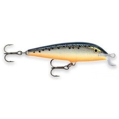 Lant Rapala Lure Team Esko SF hind ja info | Landid, voblerid | kaup24.ee