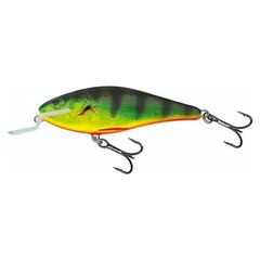 Lant Salmo Lure Executor SDR RHP hind ja info | Landid, voblerid | kaup24.ee