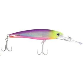 Lant Rapala X-Rap Magnum PSYC hind ja info | Landid, voblerid | kaup24.ee