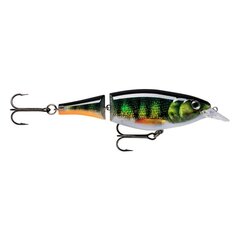 Lant Rapala X-Rap PEL hind ja info | Landid, voblerid | kaup24.ee