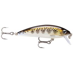 Lant Rapala X-Rap CountDown MD hind ja info | Landid, voblerid | kaup24.ee