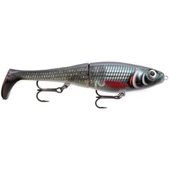 Lant Rapala X-Rap Peto ROR hind ja info | Landid, voblerid | kaup24.ee