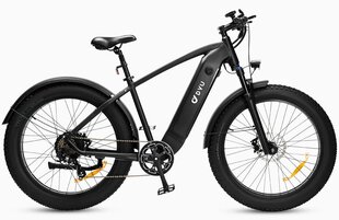 Elektrijalgratas Dyu King 750, 26", must цена и информация | Электровелосипеды | kaup24.ee