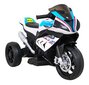 BMW HP4 Children's Electric Motorcycle цена и информация | Laste elektriautod | kaup24.ee