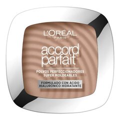 Puudri meigialus L'Oreal Make Up Accord Parfait Nº 5.R (9 g) hind ja info | Jumestuskreemid, puudrid | kaup24.ee