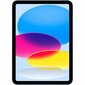 Tahvelarvuti Apple iPad 2022 Sinine 256 GB 10,9" цена и информация | Tahvelarvutid | kaup24.ee