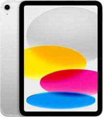 Планшет Apple iPad 2022 Серебристый 256 GB цена и информация | Планшеты | kaup24.ee