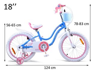 Велосипед 18 дюймов, синий, RoyalBaby цена и информация | Велосипеды | kaup24.ee
