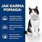 Hill's PD I/D Digestive Care täiskasvanud kassidele kanaga, 3 kg цена и информация | Kuivtoit kassidele | kaup24.ee