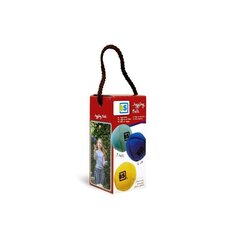 Pallidega žongleerimine hind ja info | Arendavad mänguasjad | kaup24.ee