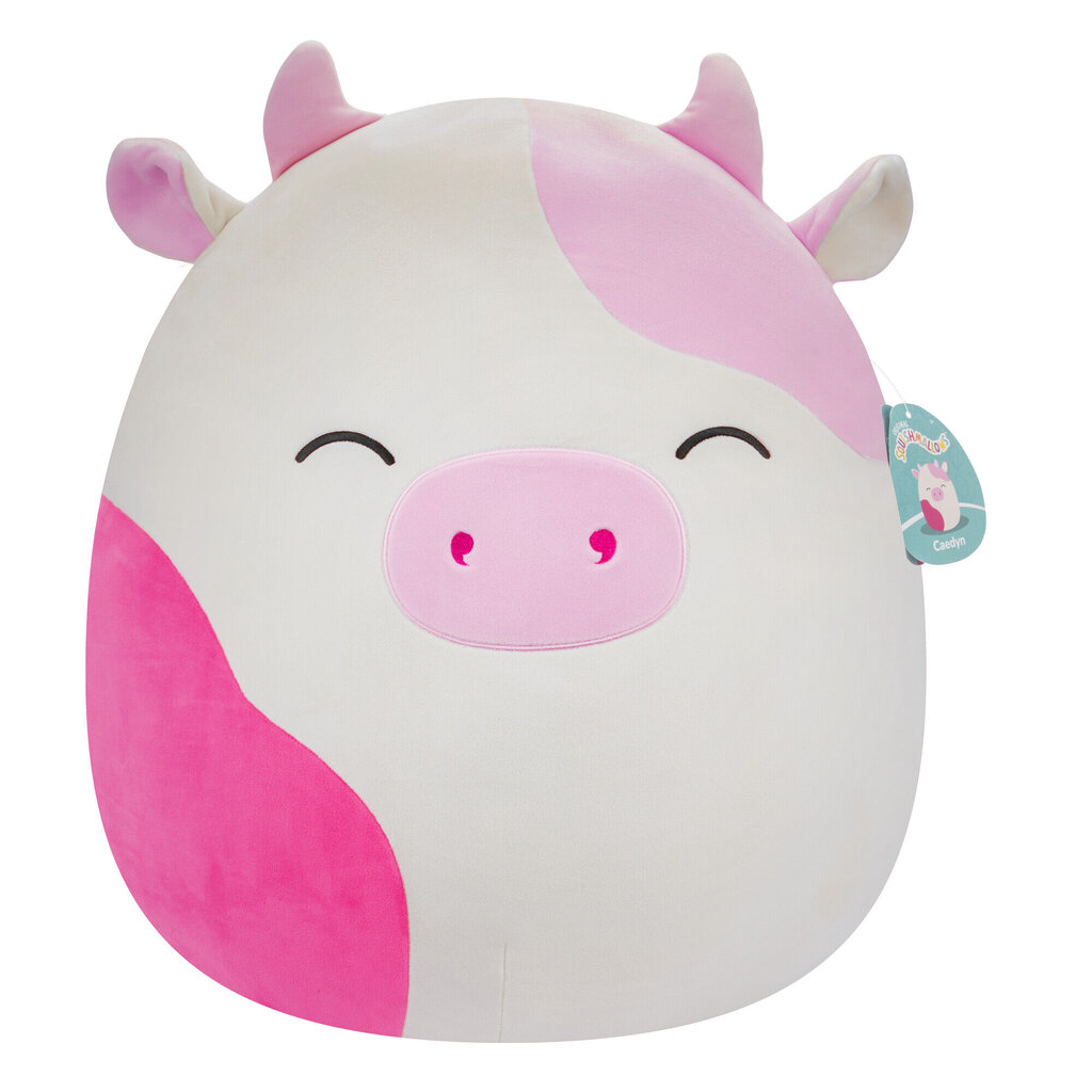 Pehme mänguasi Squishmallows W18, 40 cm hind ja info | Pehmed mänguasjad | kaup24.ee