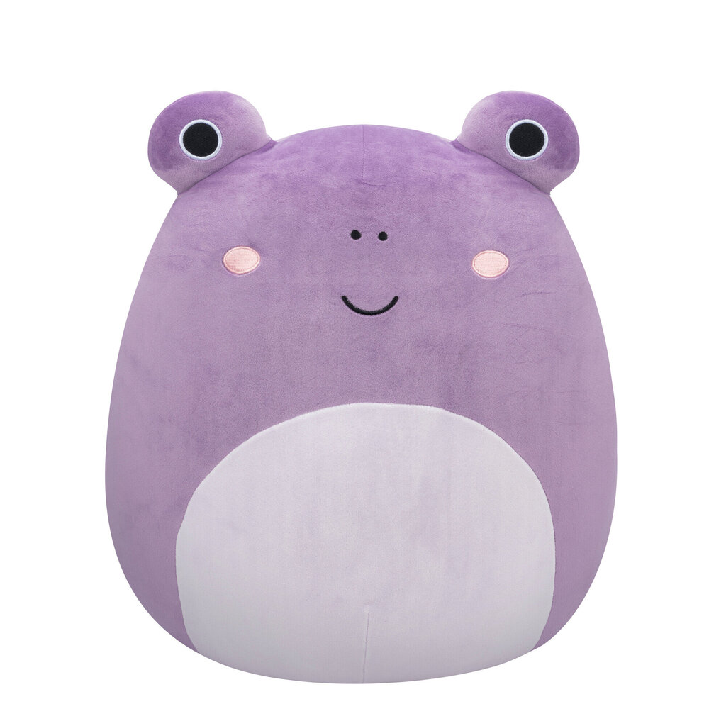 Pehme mänguasi Squishmallows W18, 40 cm цена и информация | Pehmed mänguasjad | kaup24.ee