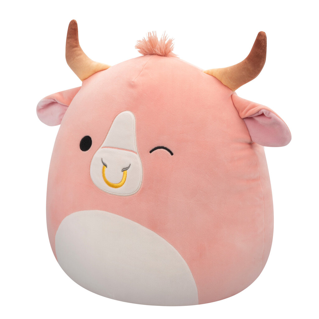 Pehme mänguasi Squishmallows W18, 40 cm hind ja info | Pehmed mänguasjad | kaup24.ee