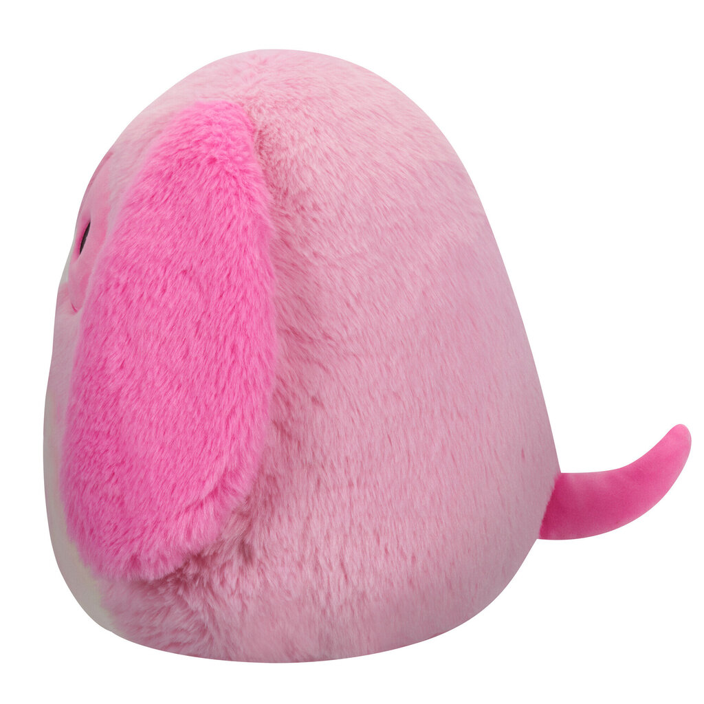 Pehme mänguasi Fuzz-A-Mallows Squishmallows, 30 cm hind ja info | Pehmed mänguasjad | kaup24.ee