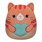 Squishmallows plüüsist mänguasi hind ja info | Pehmed mänguasjad | kaup24.ee