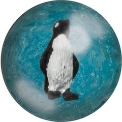 Pall lastele pingviiniga цена и информация | Игрушки для песка, воды, пляжа | kaup24.ee