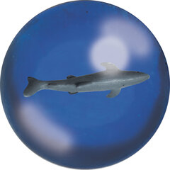 Shark Ball Deluxebase цена и информация | Игрушки для песка, воды, пляжа | kaup24.ee