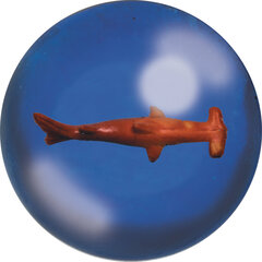 Shark Ball Deluxebase цена и информация | Игрушки для песка, воды, пляжа | kaup24.ee