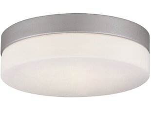 G.Lux universaalne lamp GT-900/3 IP44 hind ja info | Laelambid | kaup24.ee