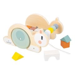 JANOD SWC järgi tõmmatav käru kuubikutega tigu hind ja info | Imikute mänguasjad | kaup24.ee