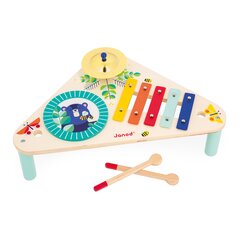 JANOD GIOIA Деревянный музыкальный столик цена и информация | Игрушки для малышей | kaup24.ee