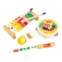 JANOD GIOIA puidust muusikakomplekt hind ja info | Imikute mänguasjad | kaup24.ee