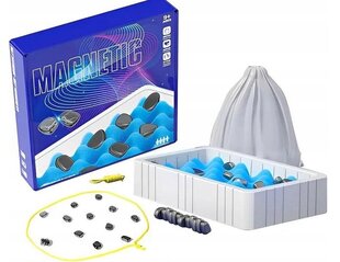 Magnetkivide mäng magnetkividega hind ja info | Lauamängud ja mõistatused | kaup24.ee