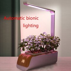 Лампа полного спектра для выращивания растений цена и информация | Проращиватели, лампы для растений | kaup24.ee