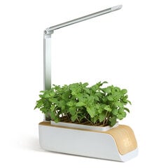 Лампа полного спектра для выращивания растений цена и информация | Проращиватели, лампы для растений | kaup24.ee
