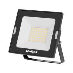 led kohtvalgusti 30w, 4000k, 230v hind ja info | Taskulambid, prožektorid | kaup24.ee