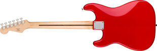 Elektrikitarr Squier Sonic Stratocaster HT цена и информация | Гитары | kaup24.ee