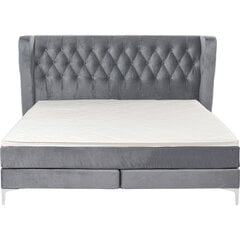 Boxspring Bed Benito Star Grey 160x200cm цена и информация | Кровати | kaup24.ee