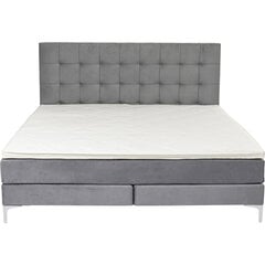 Boxspring Bed Benito Star Grey 160x200cm цена и информация | Кровати | kaup24.ee