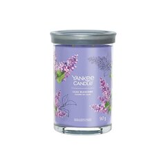 Yankee Candle Aromatinė žvakė Signature tumbler large Lilac Blossoms 567 g цена и информация | Подсвечники, свечи | kaup24.ee