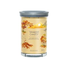 Yankee Candle Aromatinė žvakė Signature tumbler large Autumn Sunset 567 g цена и информация | Подсвечники, свечи | kaup24.ee