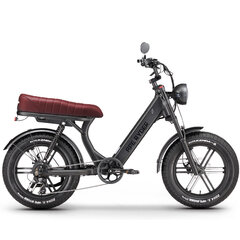 Электрический велосипед APE RYDER 20 MD10 Pro Antracite серый цена и информация | Электровелосипеды | kaup24.ee