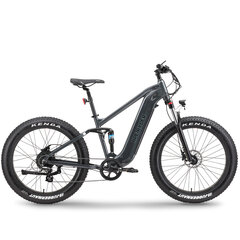 Электрический велосипед APE RYDER 26 Buffalo-F черный цена и информация | Электровелосипеды | kaup24.ee