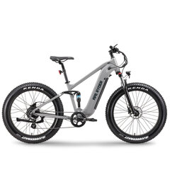Электрический велосипед APE RYDER 26 Buffalo-F Nardo серый цена и информация | Электровелосипеды | kaup24.ee