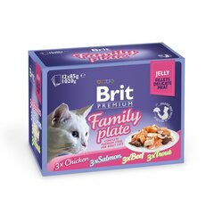 Brit Care Cat Delicate Fillets in Jelly Family Plate влажный корм для кошек, 12х85 г цена и информация | Кошачьи консервы | kaup24.ee