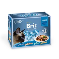 Brit Care Cat Delicate Fillets in Gravy Family Plate märgtoit kassidele, 12x85 g hind ja info | Konservid kassidele | kaup24.ee