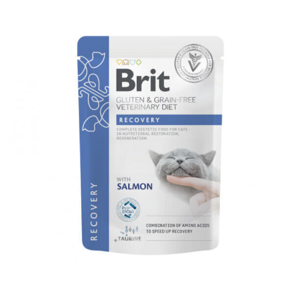 Brit GF Veterinary Diets Recovery märgtoit kassidele, kiiremaks taastumiseks, 85 g x 12 hind ja info | Konservid kassidele | kaup24.ee